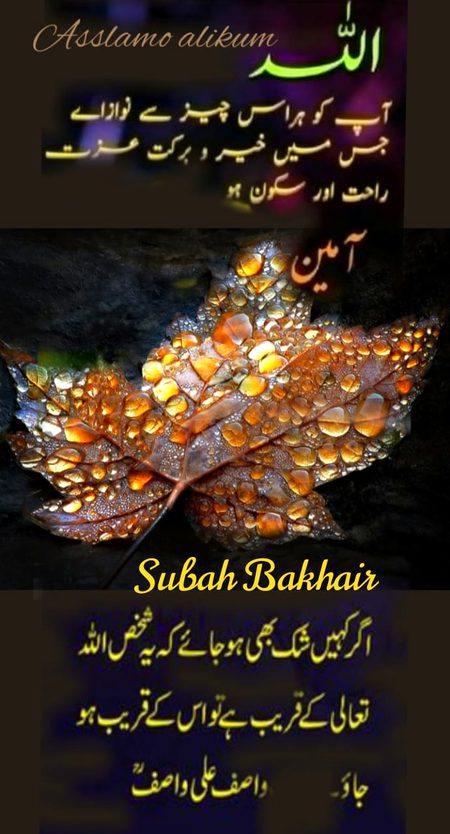 Islamic Quotes image