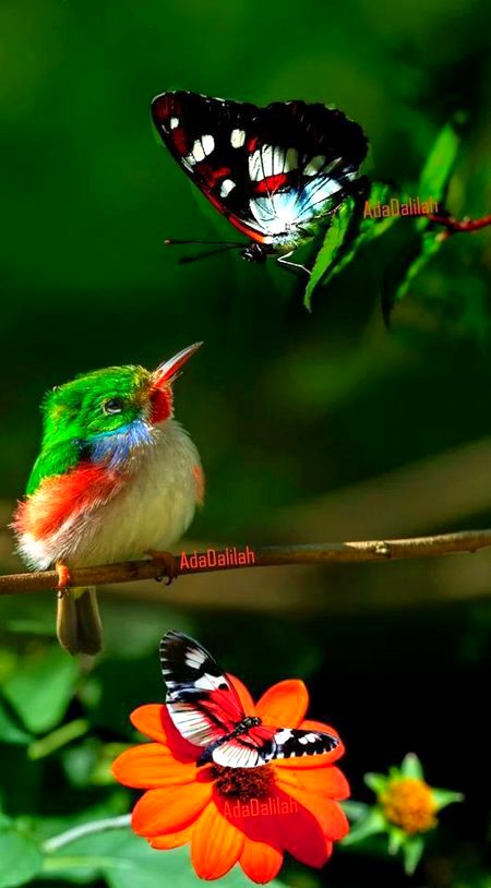 Beautiful Nature image