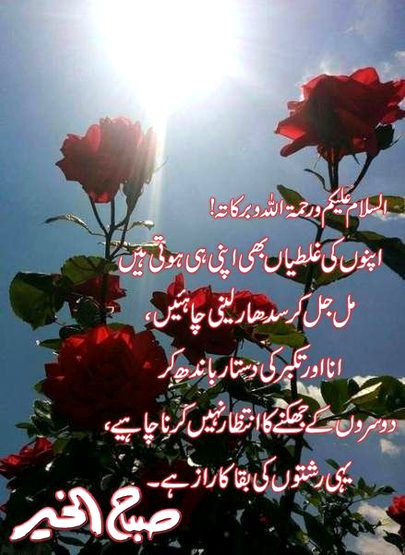 Islamic Quotes image