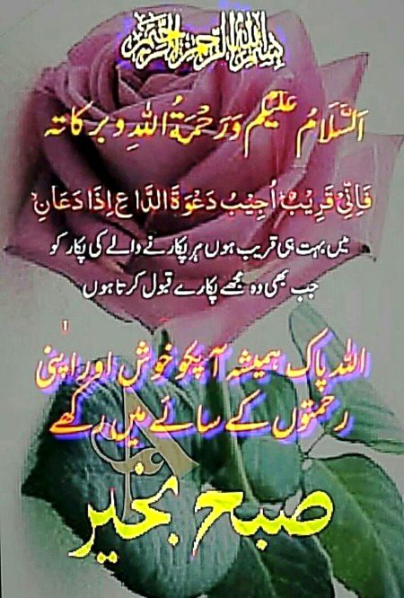 Islamic Quotes image