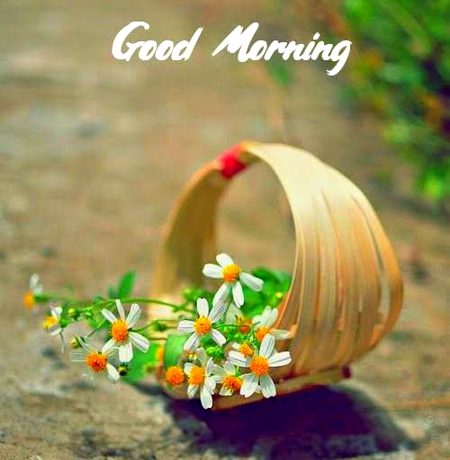 Beautiful Nature image