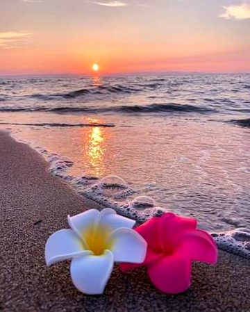 Beautiful Nature image