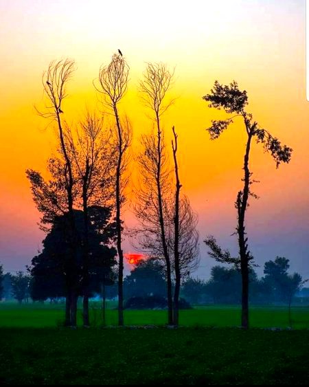 Subha bakhair