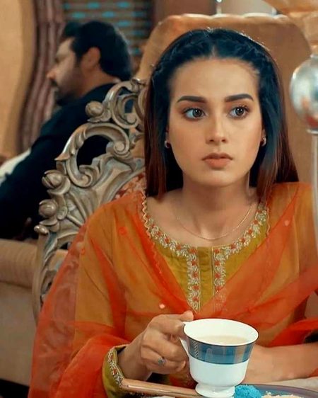 Pakistani Celebs image