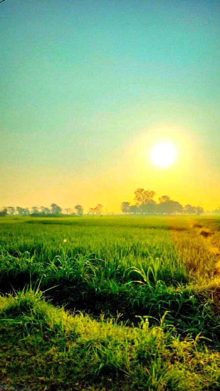 Beautiful Nature image