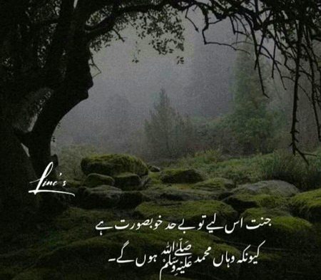 Islamic Quotes image