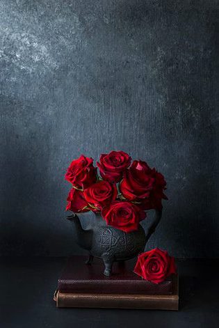 Beautiful Nature image