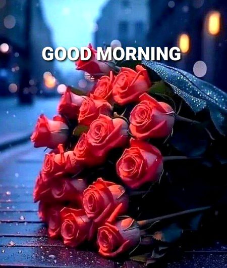 Beautiful Nature image