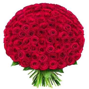 Beautiful Nature image