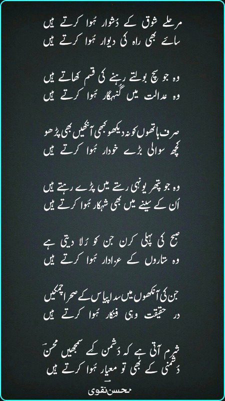 Sad Poetry image