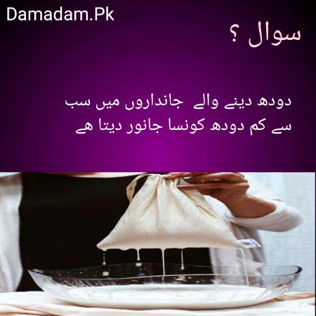 Urdu post