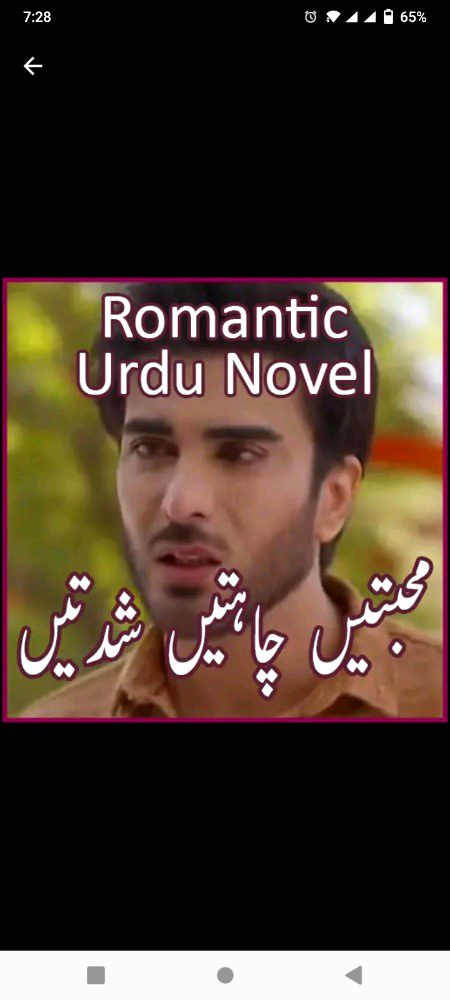 Romantic Novels image