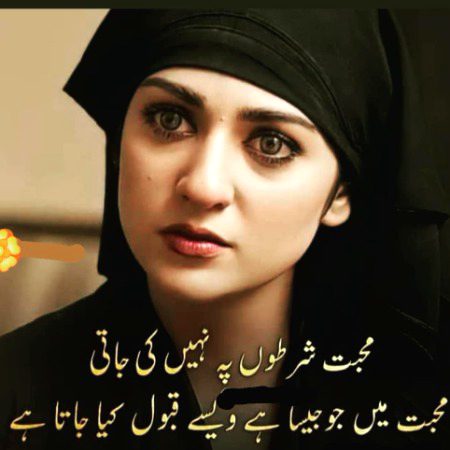 Attitude Poetry image
