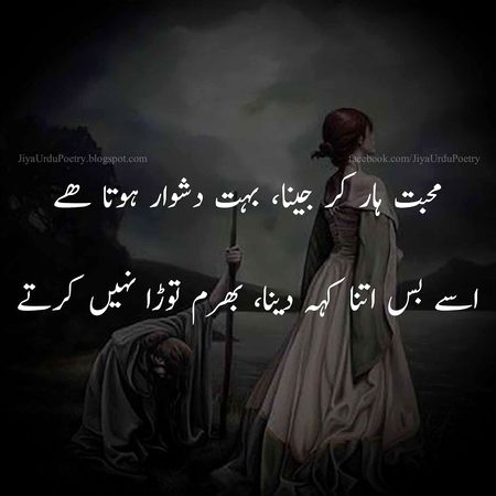 Sad Poetry image