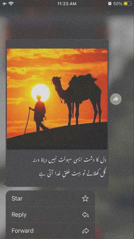 Sad Poetry image