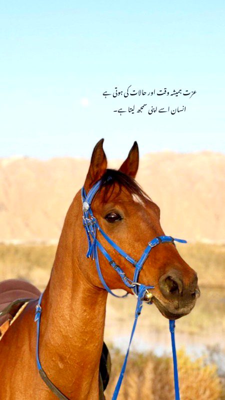 Attitude Poetry image