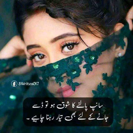 Attitude Poetry image