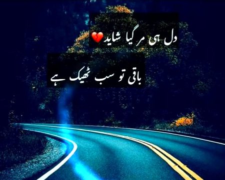 Urdu poetry