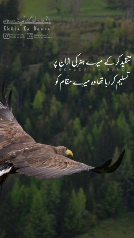 Urdu poetry