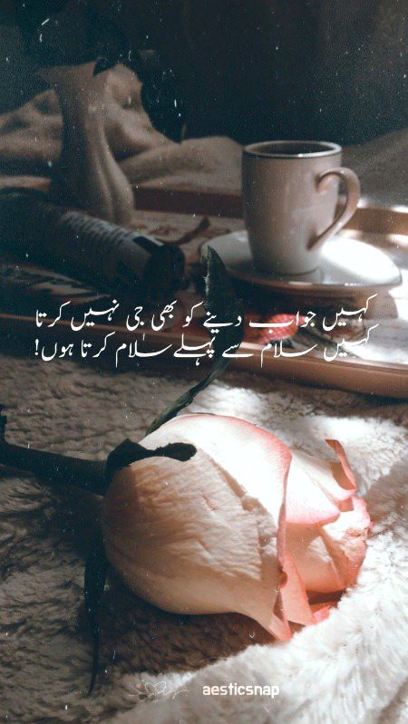Urdu poetry