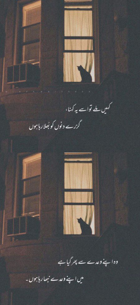 Sad Poetry image