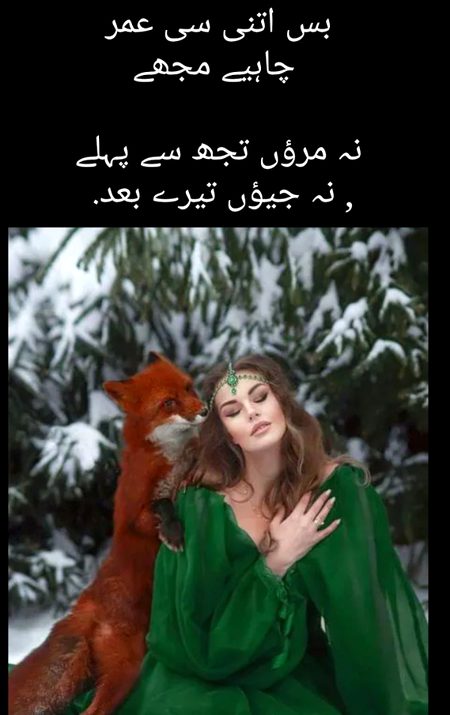 Romantic Poetry image