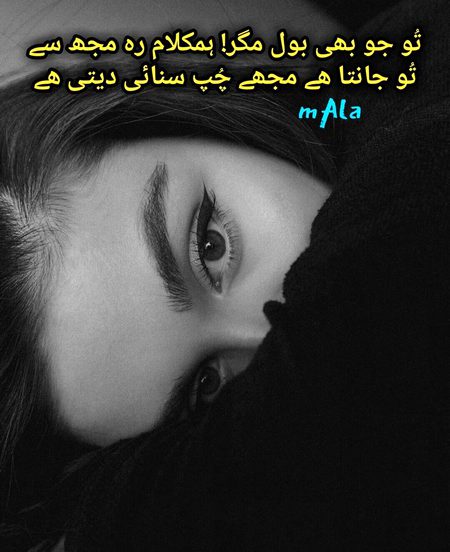 Urdu poetry