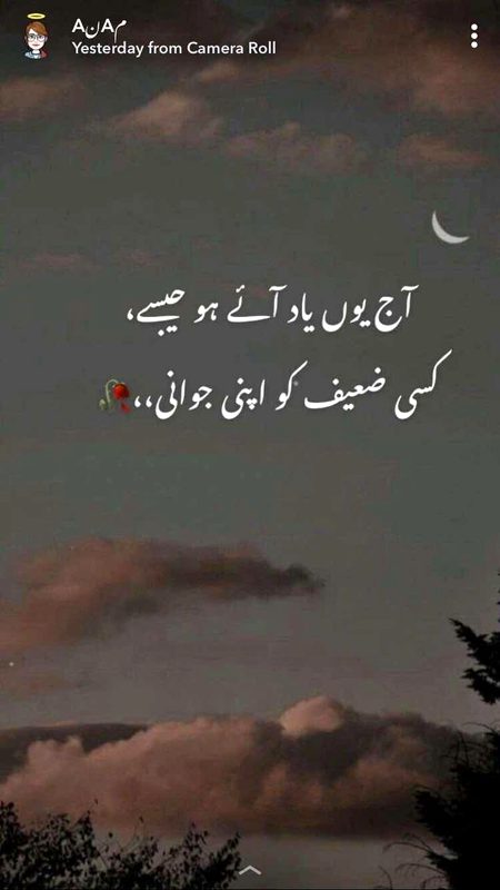 Urdu poetry