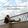 Shakil_77