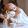 IzzA.AltamaSh