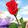 Prence_nabeel
